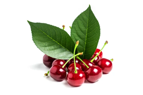 Cherry Isolated Sour Cherry Cherries Leaves White Background Sour Cherries — Stockfoto