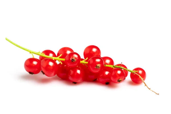 Frische Rote Johannisbeere Isoliert Auf Weißem Hintergrund — Stockfoto