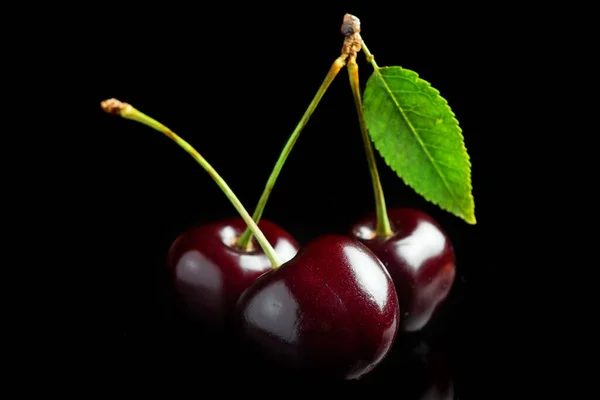 Sweet cherries with cherry leaf on a black background