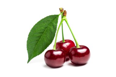 Cherry isolated. Sour cherry. Cherries with leaves on white background. Sour cherries on white.