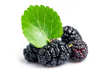 Mulberry fruits with green leaves isolated on white background