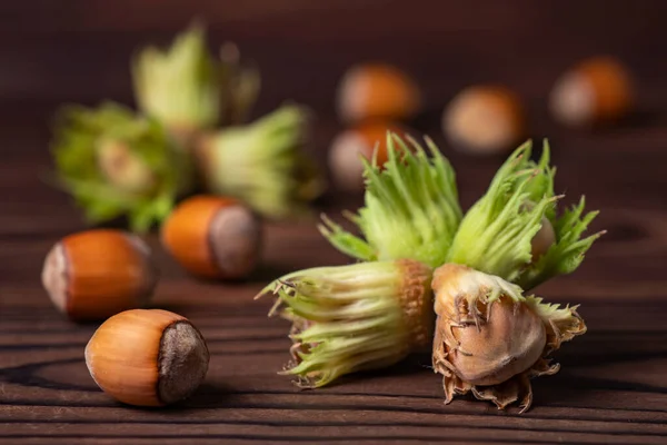 Nocciola Fondo Legno Primo Piano — Foto Stock