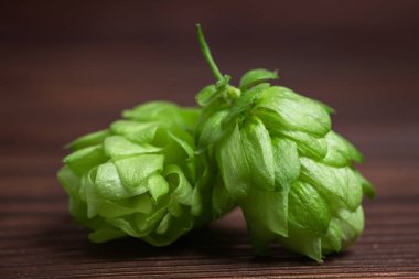 Tahta bir masada taze yeşil kozalak. Kapat..