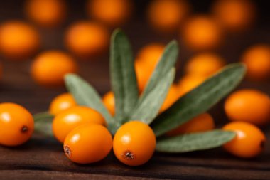 Tahta masa üzerinde yaprakları olan deniz karabatağı üzümleri, yakın plan..