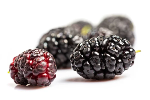 Mulberries Fruit White Background Healthy Mulberry Fruit — Stock Fotó