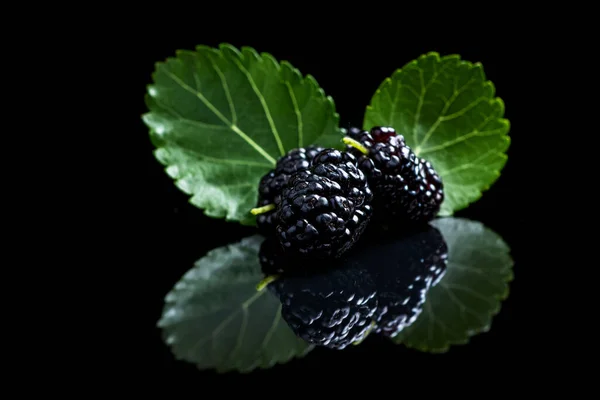 Mulberry Fruits Green Leaves Black Background — Stock Photo, Image