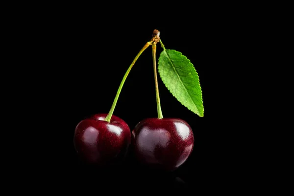 Sweet cherries with cherry leaf on a black background