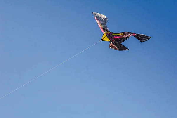 Eagle Kite — Stock Photo, Image