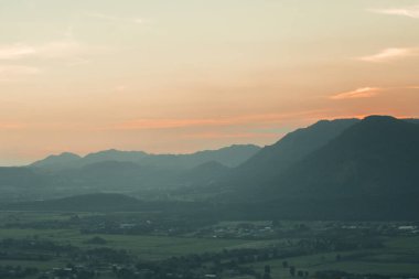 Yeşil pirinç tarlalarının manzarası. Güneşin akşam ışığı gökyüzü ile çelişiyor..