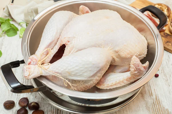 Fresh raw turkey — Stock Photo, Image