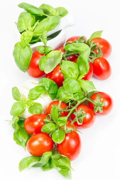 Tomates e queijo mussarela decorados com manjericão . — Fotografia de Stock