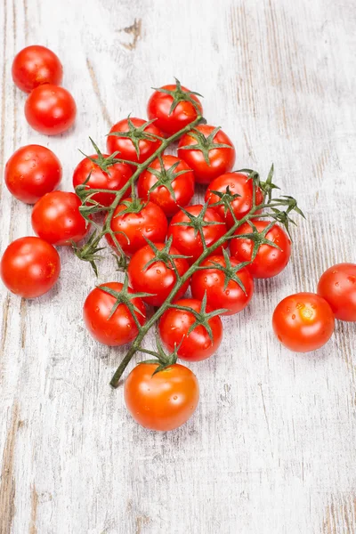 Tomates — Fotografia de Stock