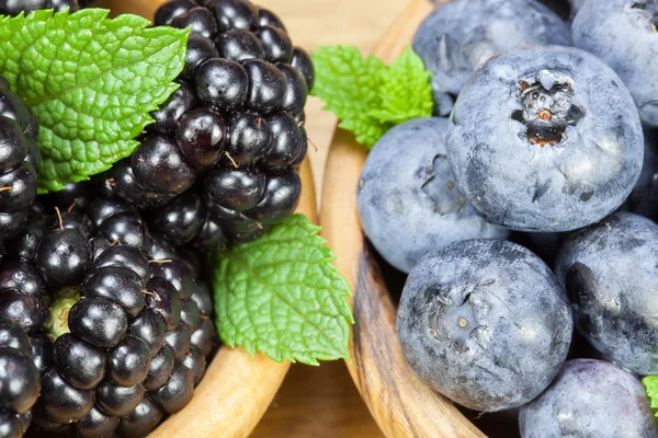 蓝莓和黑莓的香味 — 图库照片