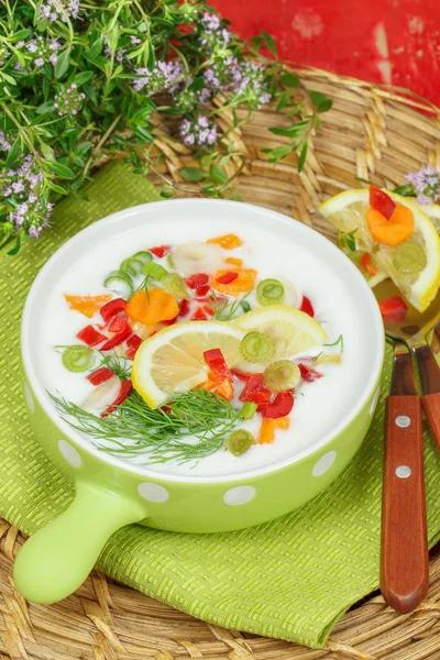 Zimnym jogurtem zupa — Zdjęcie stockowe