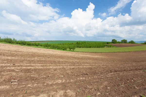 Szántott mező és kék ég — Stock Fotó