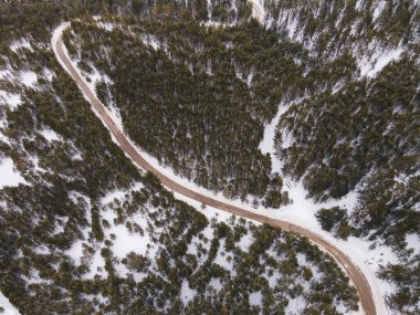 Kışın dağ yolu. Karlı ormandaki ağaçların arasındaki yol dronundan hava manzarası.