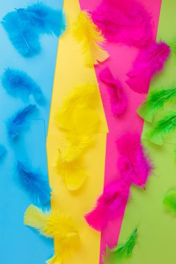 Canlı renkli tüy koleksiyonu var. Renkli kağıt arkaplanda renkli tüyler. Reklam, afiş ya da tebrik kartı için güzel bir şablon. Üst manzara, düz uzanma
