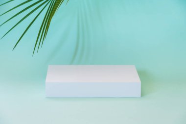 Podyum ürün standında doğa yaprakları ve mavi arka planda gölgeler. Minimum konsept. Ürün sunumu için soyut arkaplan