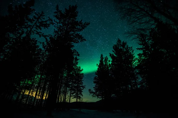 Zorza polarna w Szwecji (Aurora Borealis) — Zdjęcie stockowe