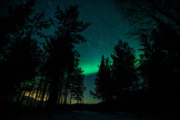 İsveç (Aurora Borealis Kuzey ışıkları) — Stok fotoğraf