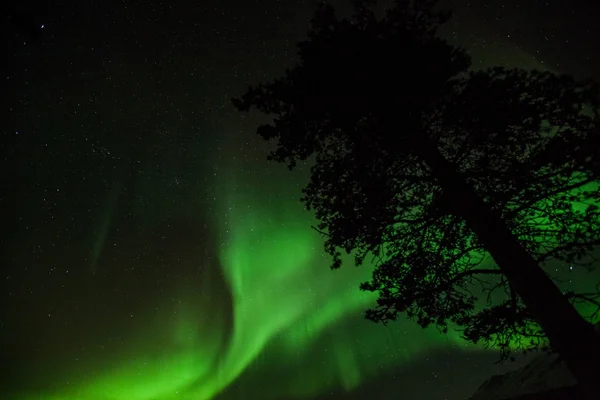 İsveç (Aurora Borealis Kuzey ışıkları) — Stok fotoğraf