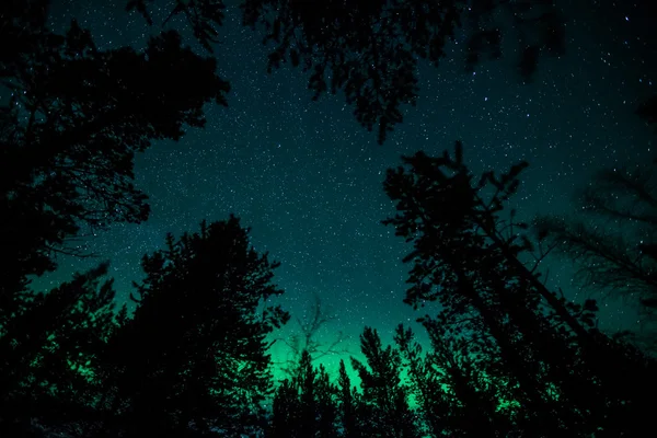 İsveç (Aurora Borealis Kuzey ışıkları) Telifsiz Stok Fotoğraflar