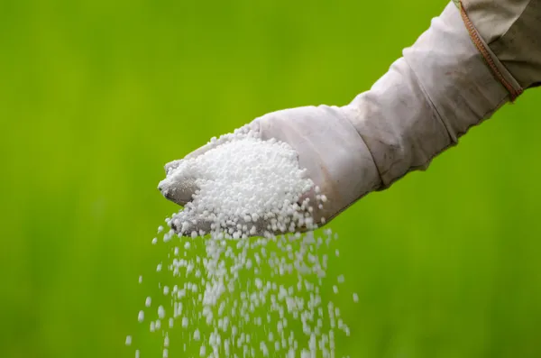 Farmer is pouring chemical fertilizer Stock Picture