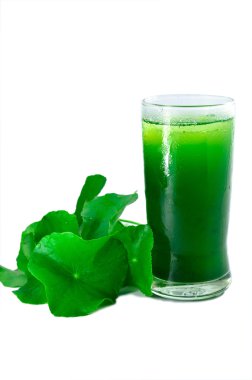 Asya pennywort buz suyu