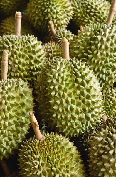 Durian meyve
