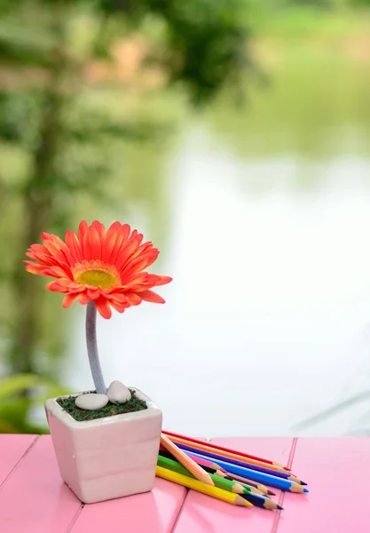 Flower and color pencil on table — Stock Photo, Image