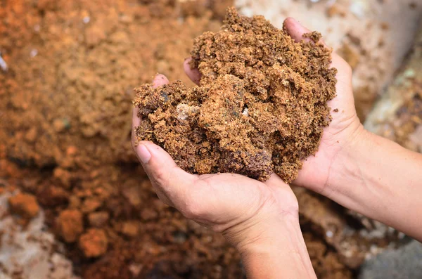 Materiaal voor minerale op landbouwer hand — Stockfoto