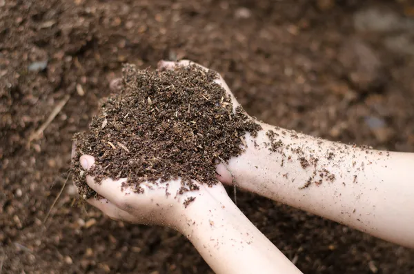 Soil in farmer arms Royalty Free Stock Images