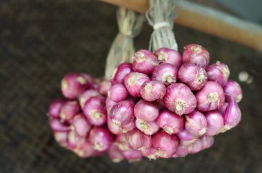 Bambu korkuluk olarak arpacık kurutma