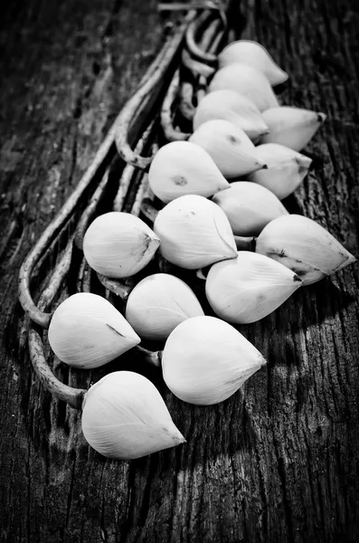 Натюрморт белый цветы лотос на деревянном фоне — стоковое фото