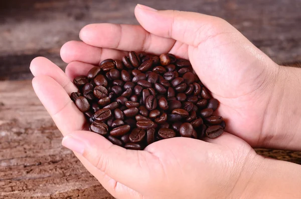 Still life Arabica coffee beans — Stock Photo, Image