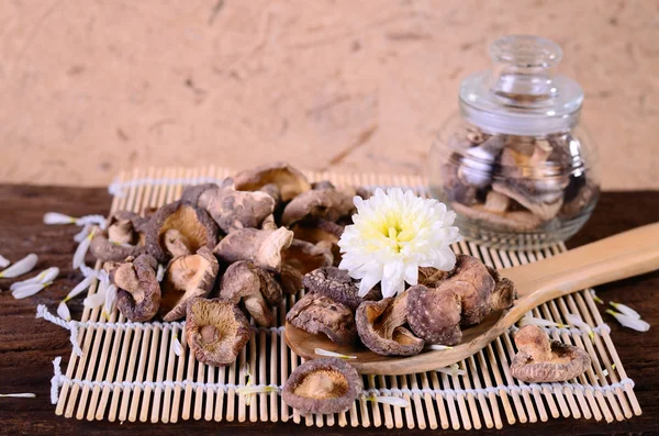 Сушеный гриб шиитаке (Lentinula edodes ) — стоковое фото
