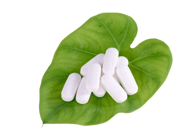 Herb is medicine concept — Stock Photo, Image