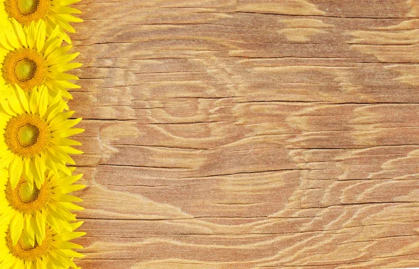 古い木製のフレームと太陽の花の背景 — ストック写真
