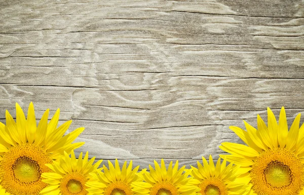 Quadro de madeira velha e fundo com flores de sol — Fotografia de Stock