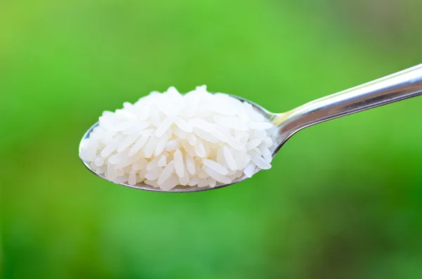 Jasmine rice on spoon over green background — Stock Photo, Image