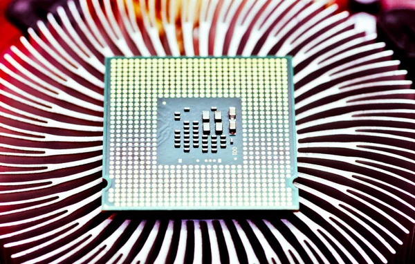 Computer cpu (central processor unit) chip — Stock Photo, Image