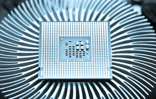 Computer cpu (central processor unit) chip — Stock Photo, Image