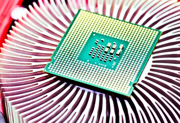 Computer cpu (central processor unit) chip — Stock Photo, Image