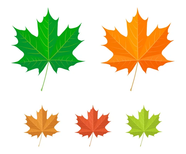Maple leaf simgeler