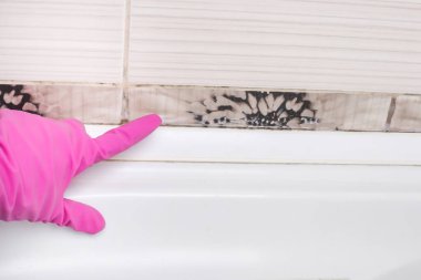 Removing mold and mildew from tile joints in the bathroom by woman hand in pink protective gloves, copyspace