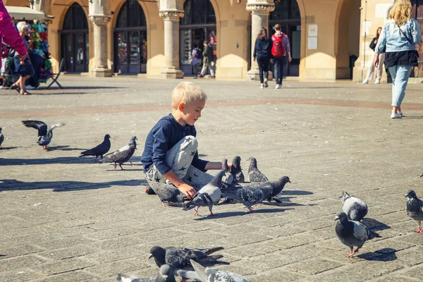Krakow Polonya Eylül 2022 Meydanda Güvercin Besleyen Sarışın Çocuk — Stok fotoğraf