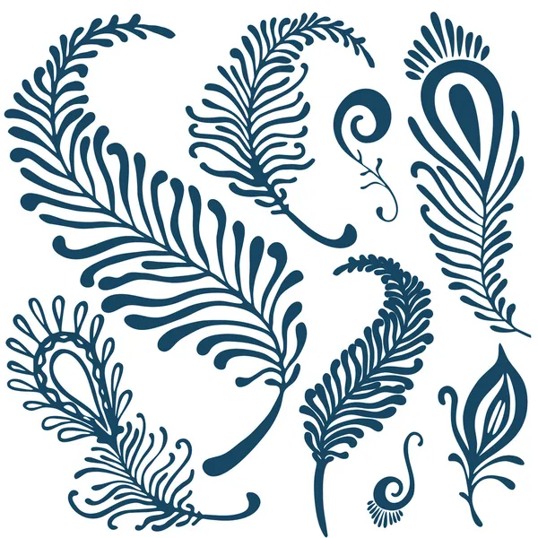 Dekoratif tüyler seti