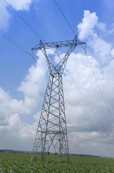 Strommasten überqueren ein Feld. — Stockfoto