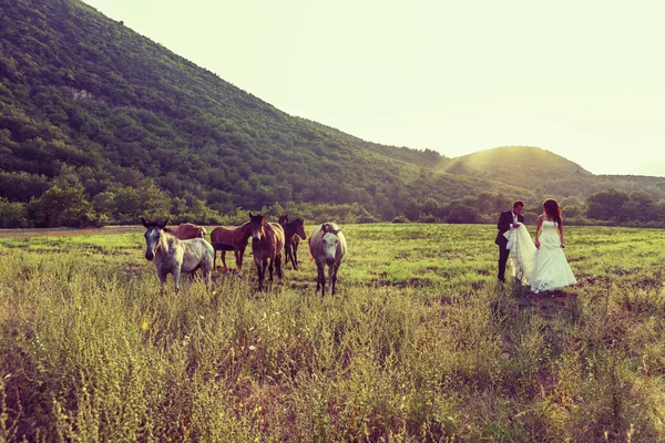 Gelin ve damat doğada