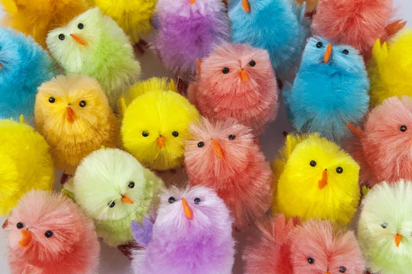 Coloridos pollos de Pascua —  Fotos de Stock